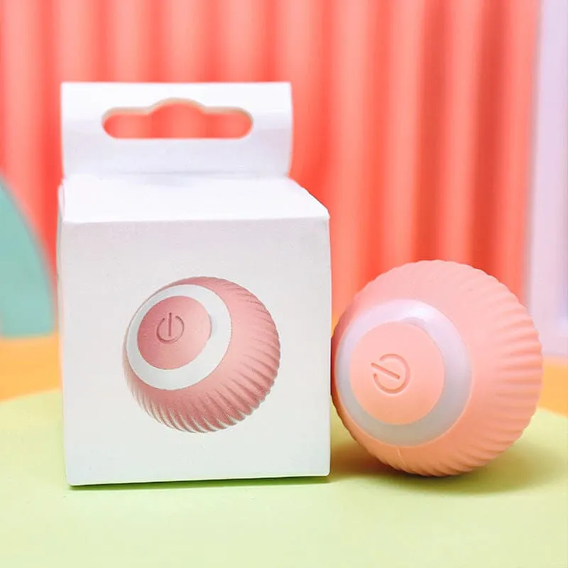 Aiitle Interactive Cat Hunting Toy