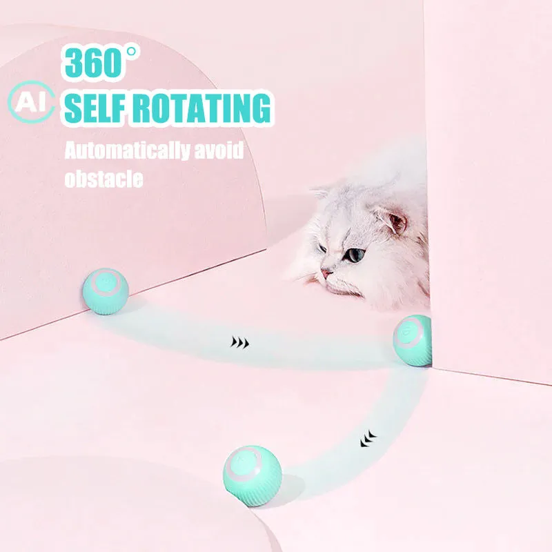 Aiitle Interactive Cat Hunting Toy