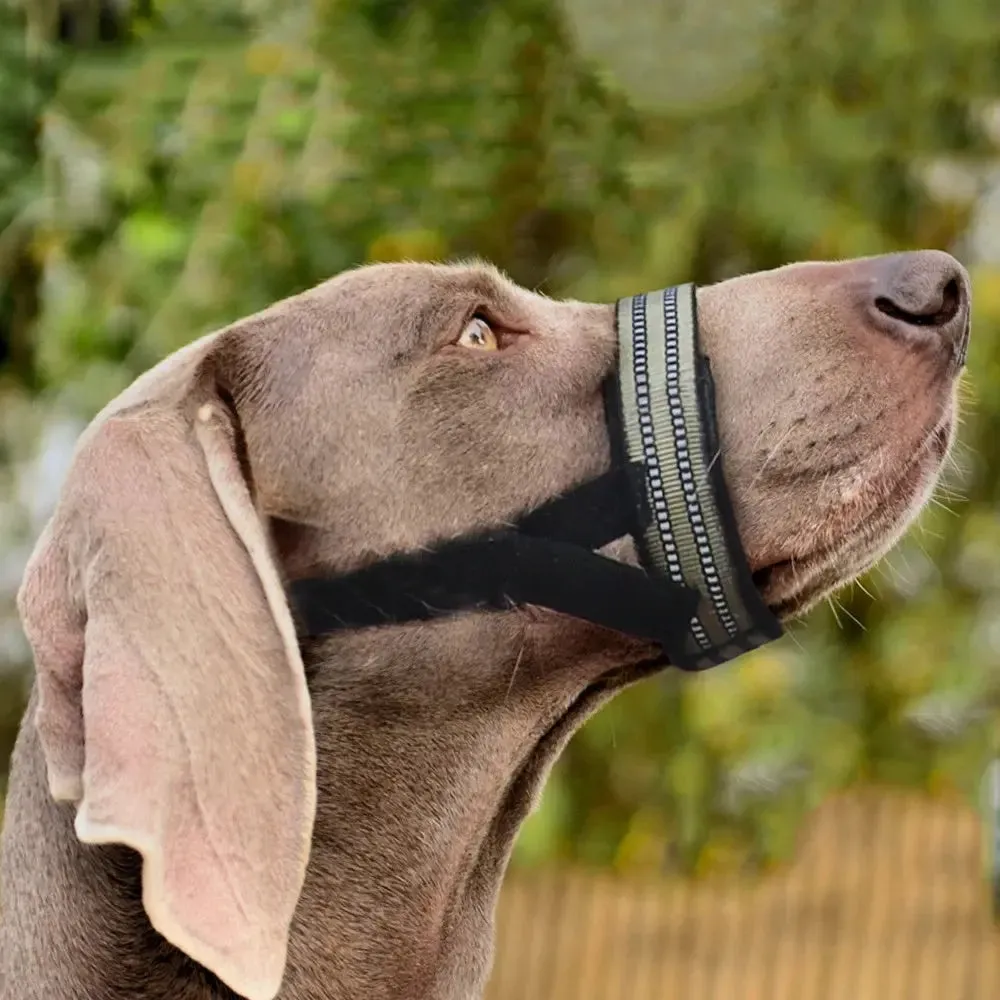 Anti-Biting Reflective Big Dog Muzzle – Secure & Comfortable Fit