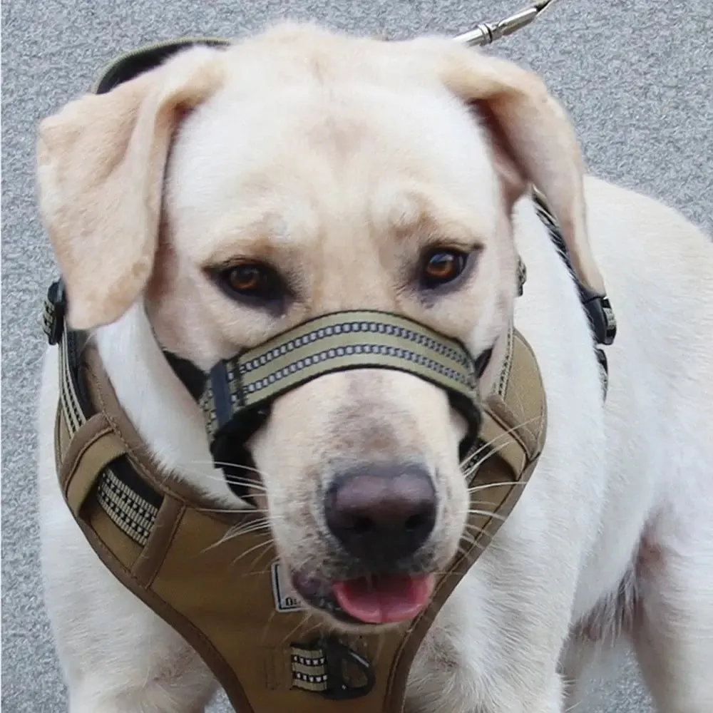 Anti-Biting Reflective Big Dog Muzzle – Secure & Comfortable Fit