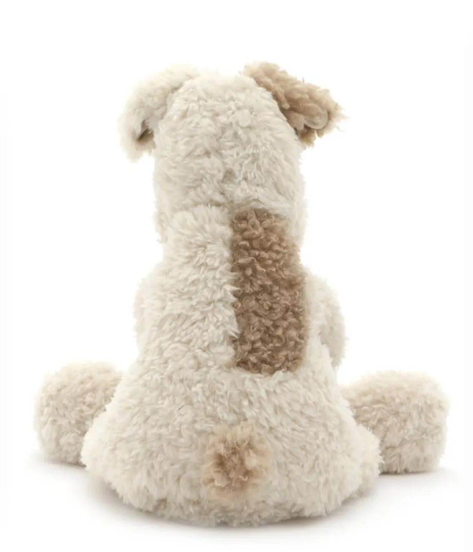 Buddy the Dog