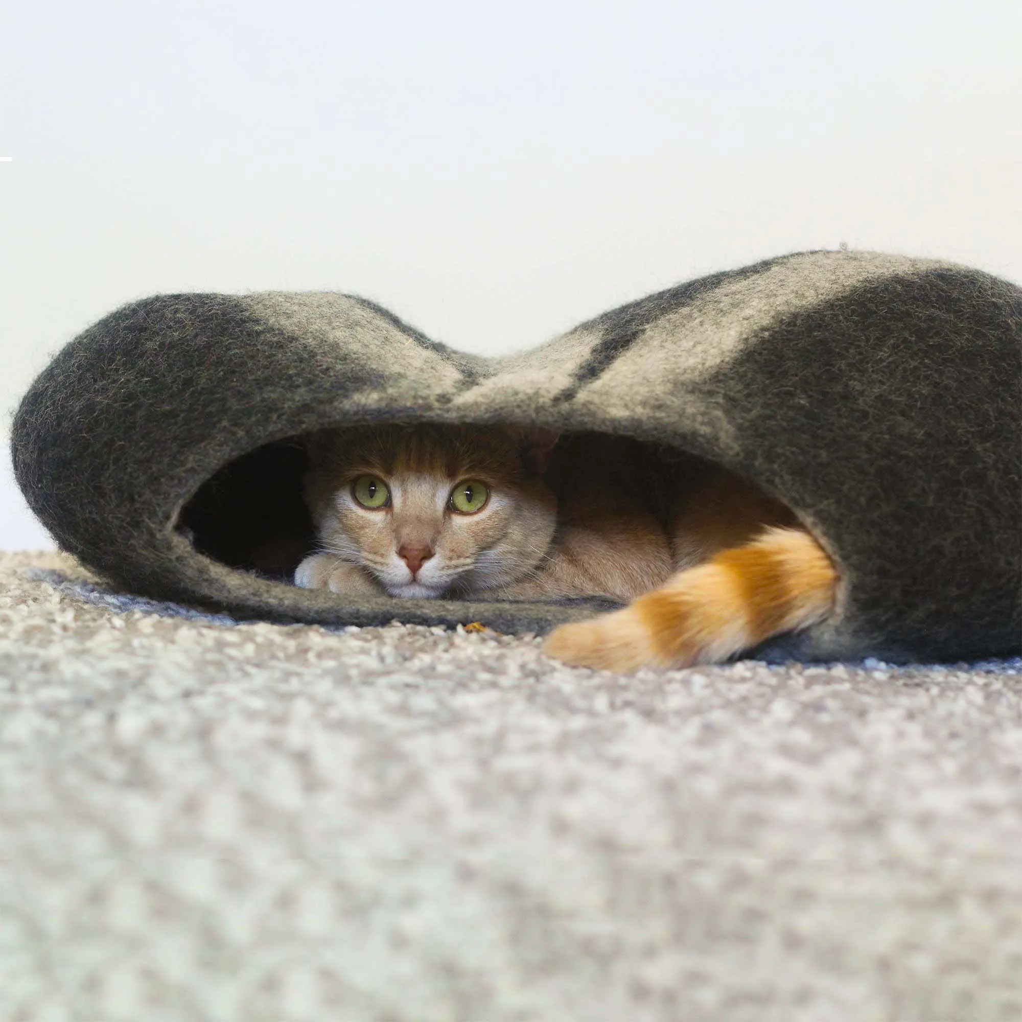 Cat Cave