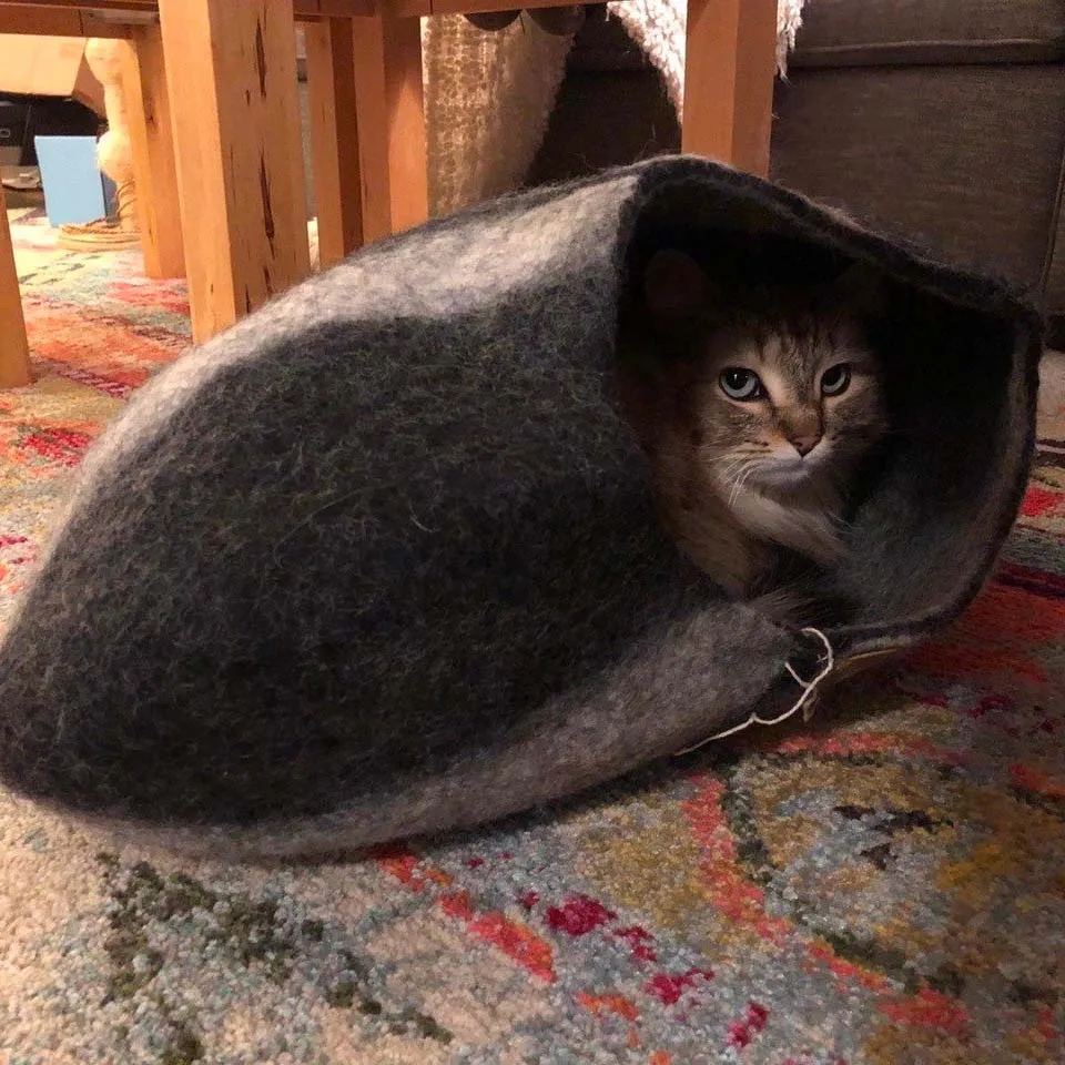 Cat Cave