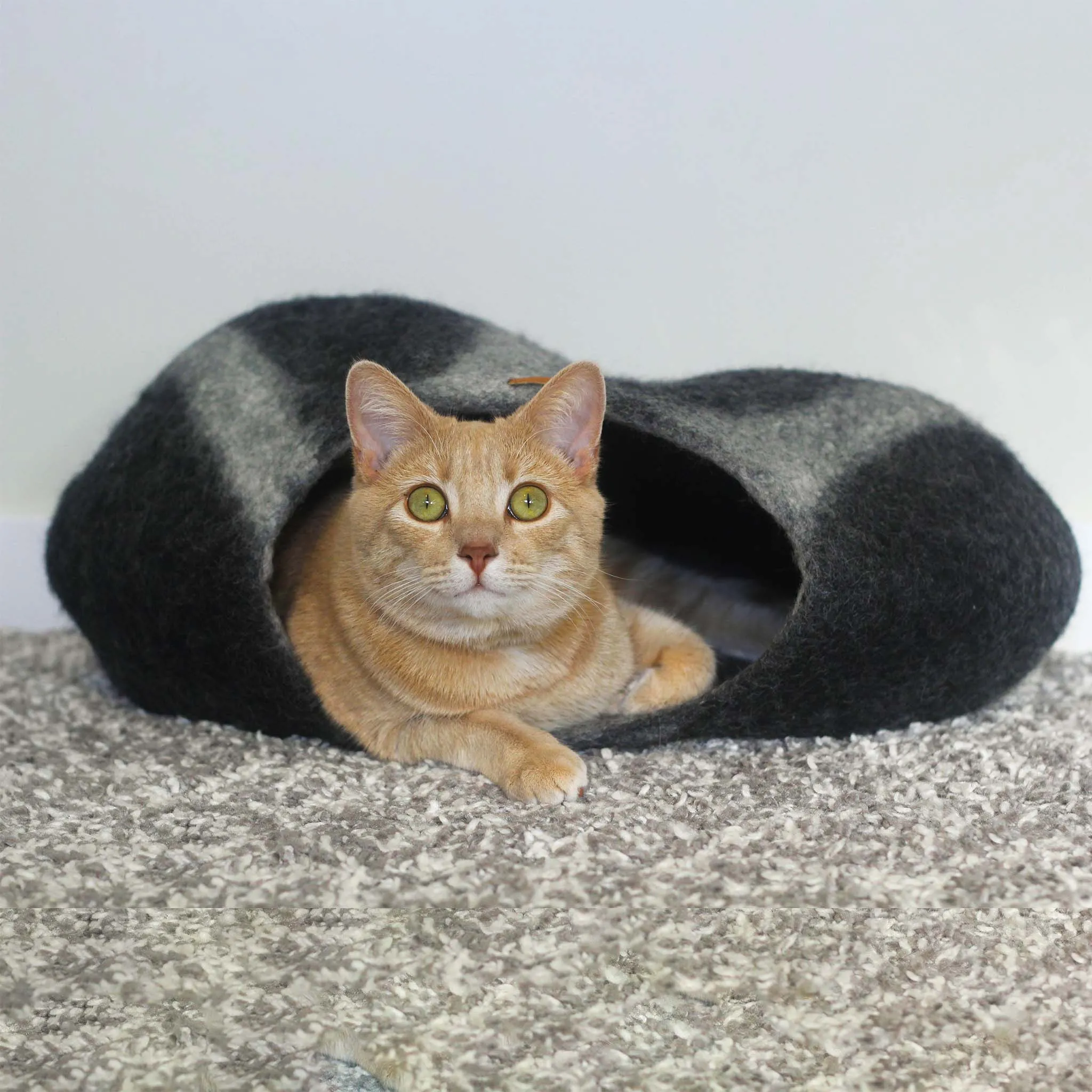 Cat Cave