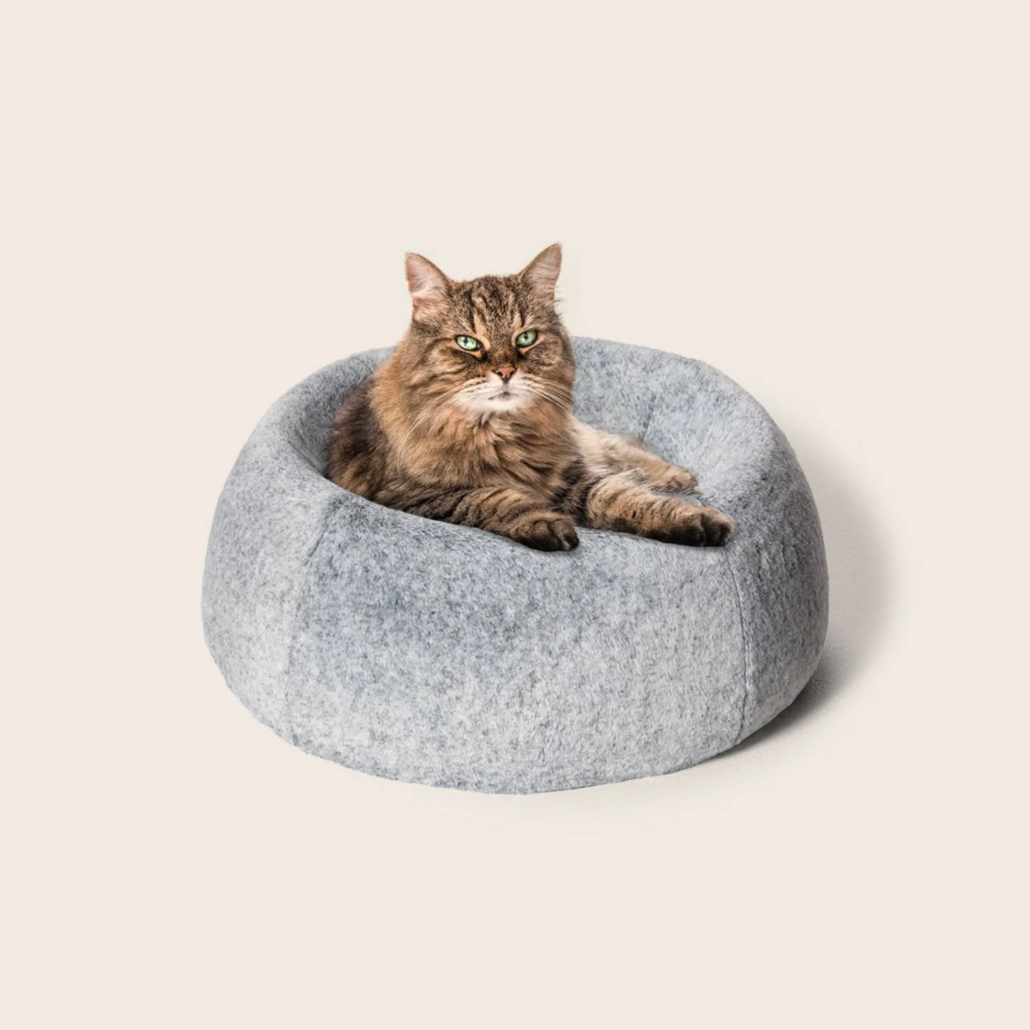 Cat Memory Nest