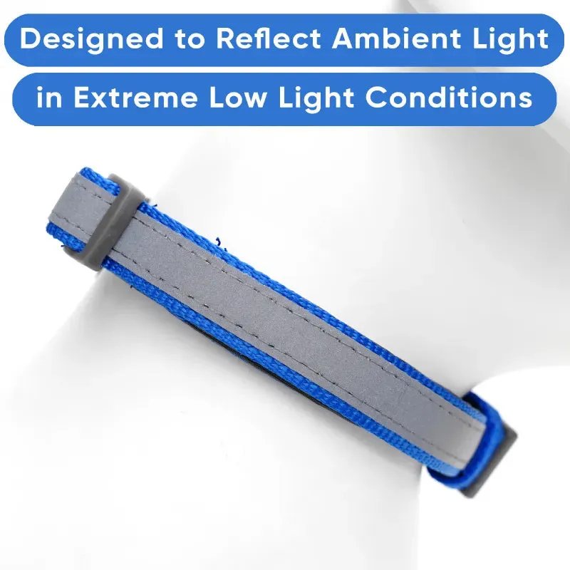 Classic Padded Reflective Dog Collar