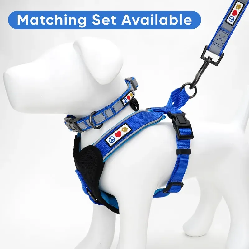 Classic Padded Reflective Dog Collar