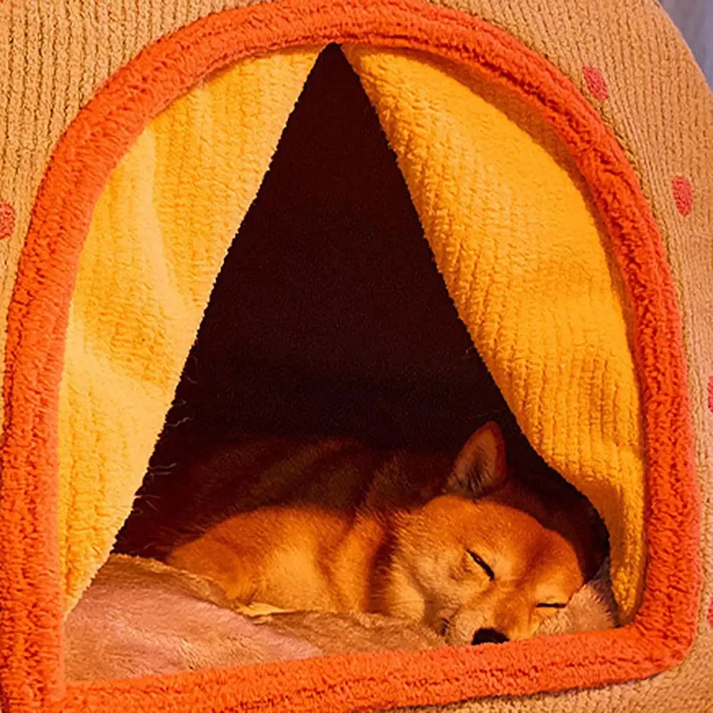 Enclosed Dog Cat Bed House