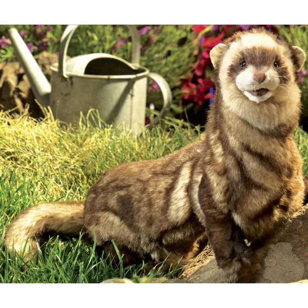 Ferret Puppet