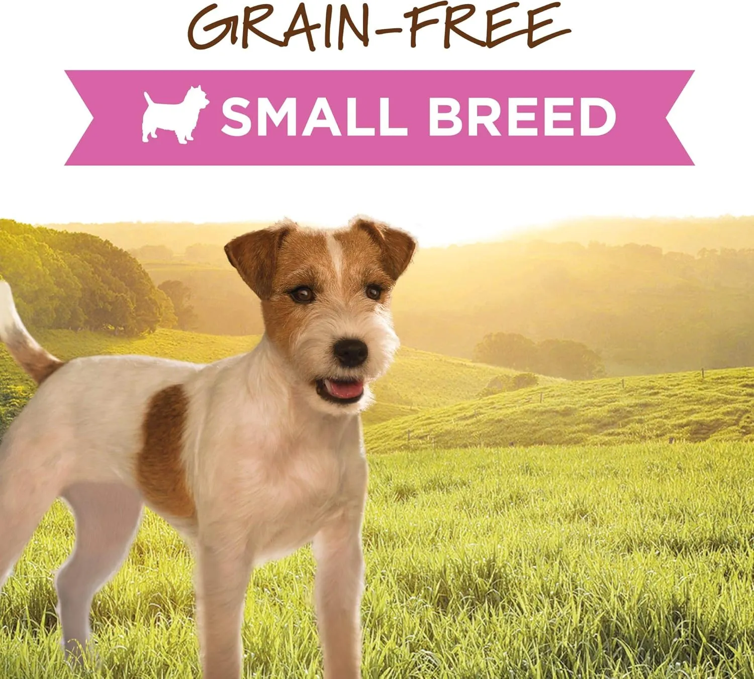 Instinct Original Small Breed Wet Canned Dog Food, Grain Free Recipe - Real Beef, 5.5 oz. Cans (Pack of 12)