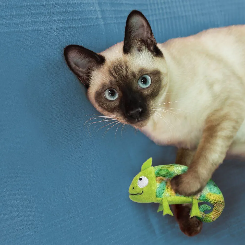 Kong Cat Toy Catnip Refillables Chameleon