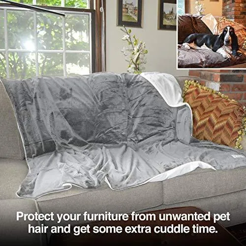 Micro Plush Dog Blanket