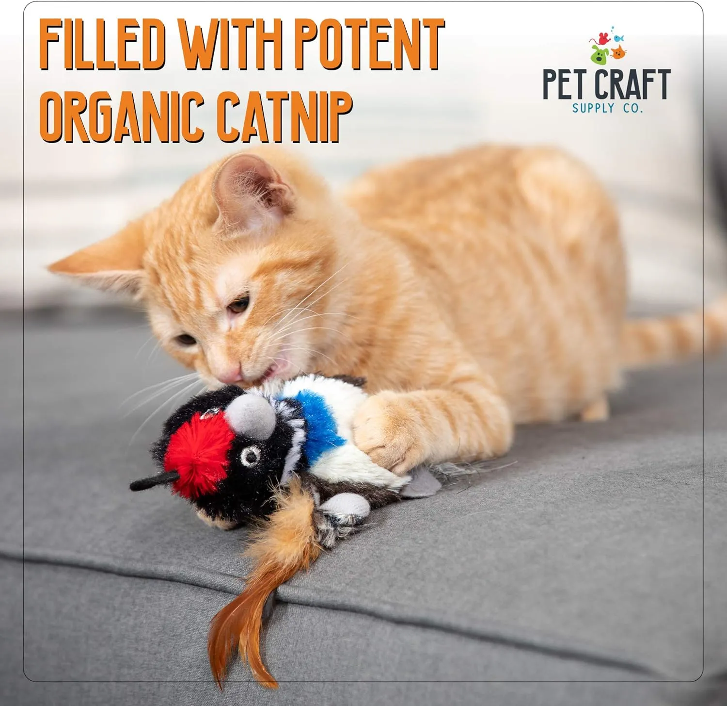 Pet Craft Supply Kitty Condor Crazy Catnip, Funny Cuddling Chasing Hunting Irresistible Stimulating Soft Plush Boredom Relief Interactive Cat Toy with Realistic Feathers, All Breed Sizes (Pack of 2)
