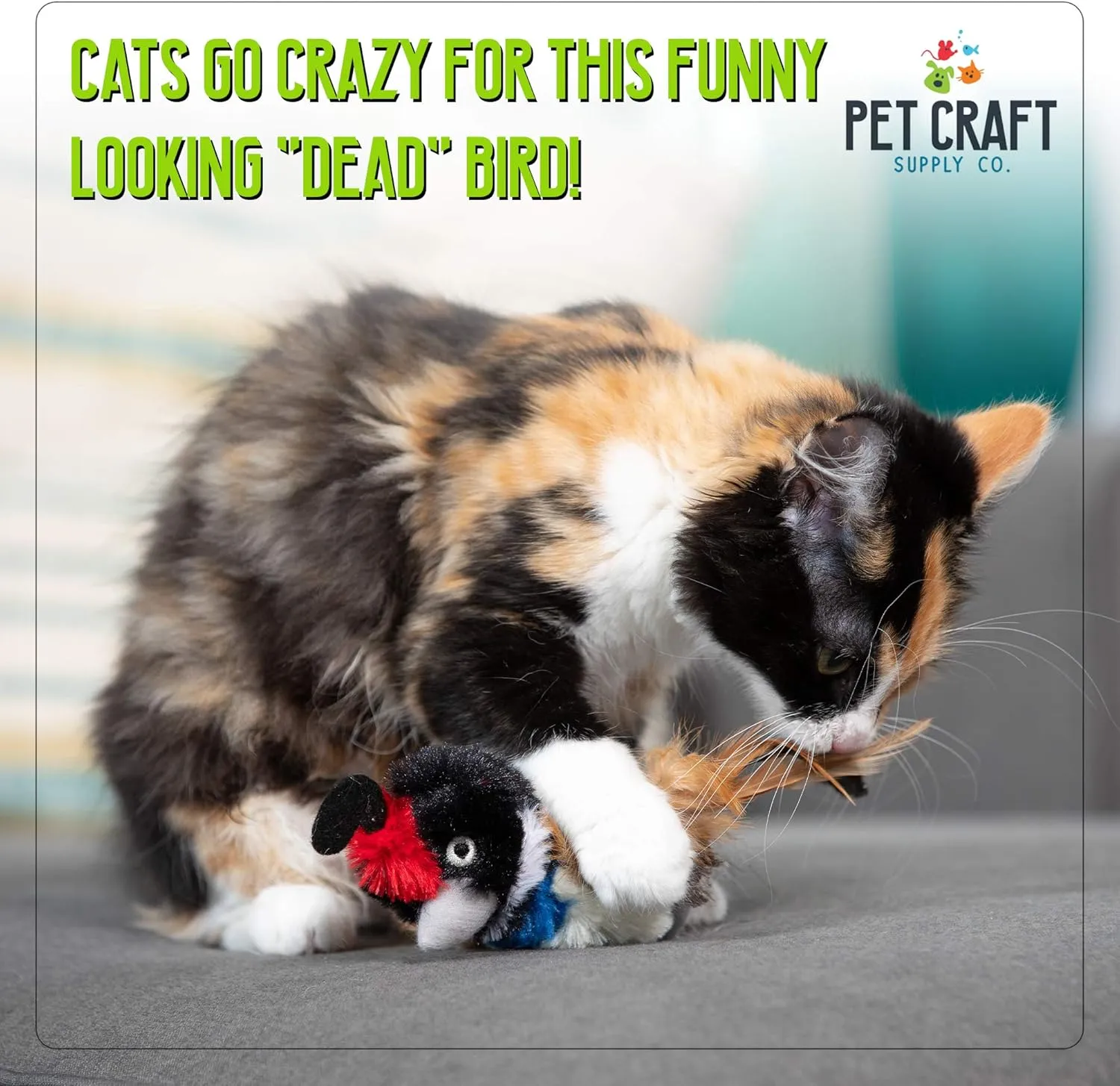 Pet Craft Supply Kitty Condor Crazy Catnip, Funny Cuddling Chasing Hunting Irresistible Stimulating Soft Plush Boredom Relief Interactive Cat Toy with Realistic Feathers, All Breed Sizes (Pack of 2)