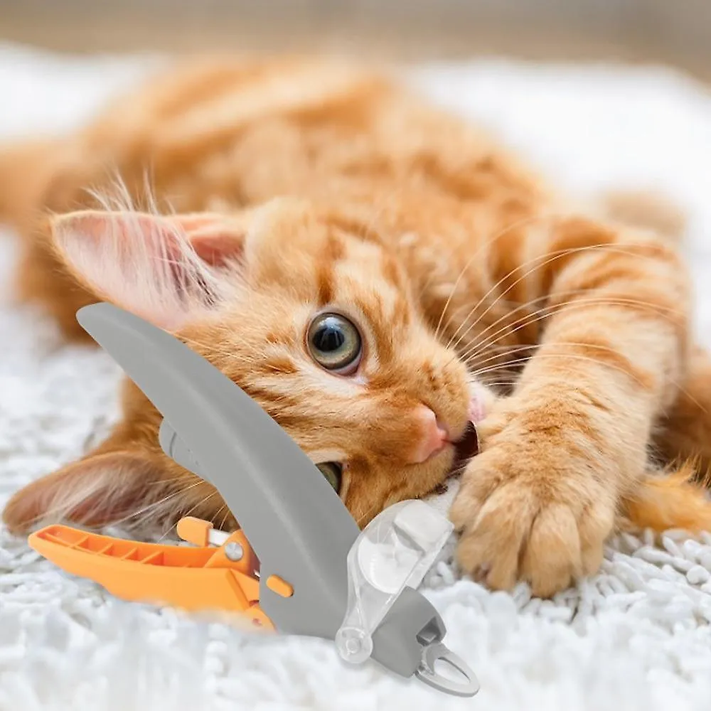 Pet nail tools dogs pet nail clipper magnification dog nail scissor safe cat pet grooming trimmer claw care tool