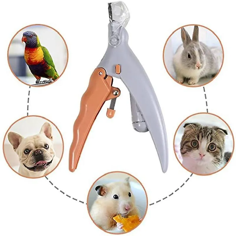 Pet nail tools dogs pet nail clipper magnification dog nail scissor safe cat pet grooming trimmer claw care tool