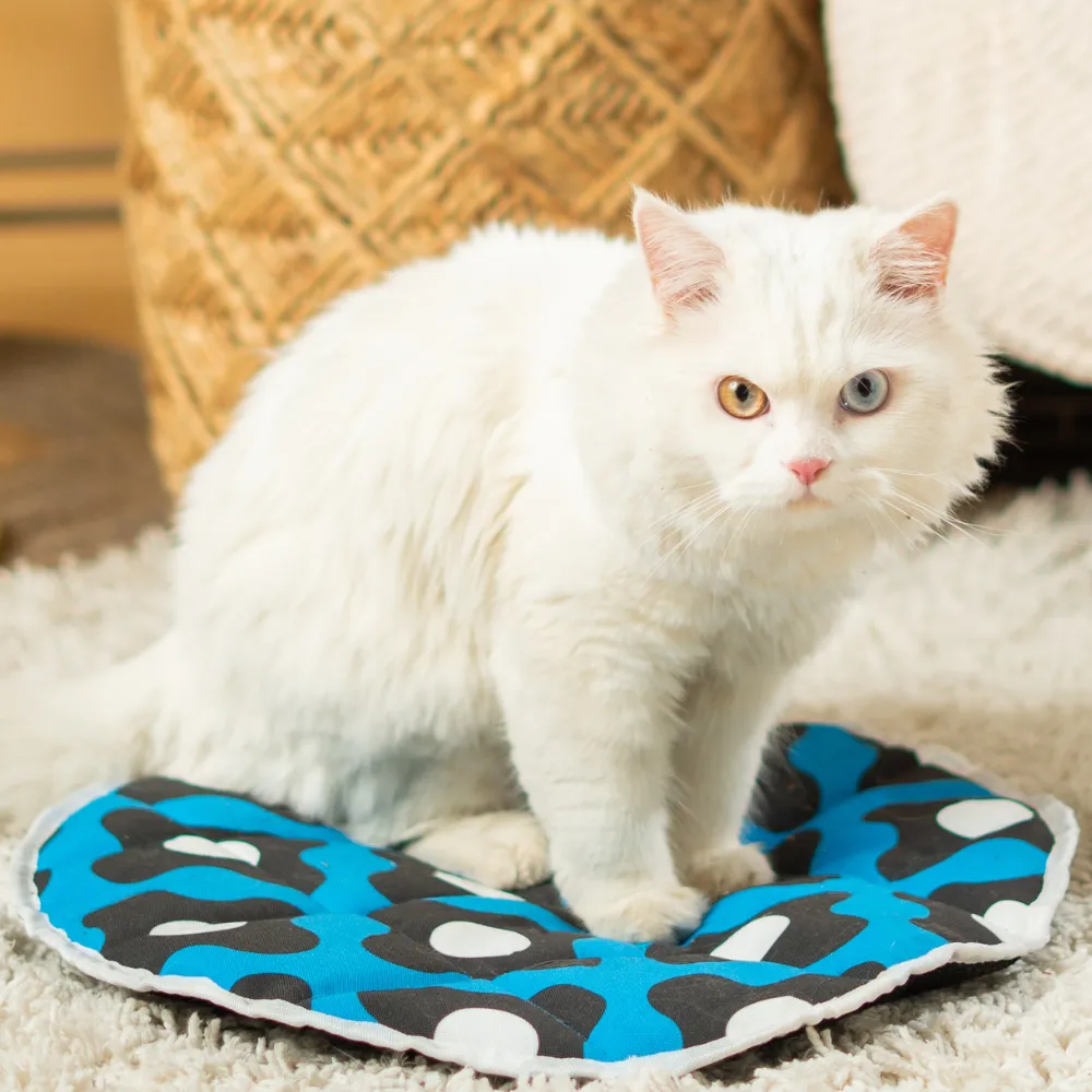 Pet Set Go Blue Bliss Mat for Cats (Navy Blue)