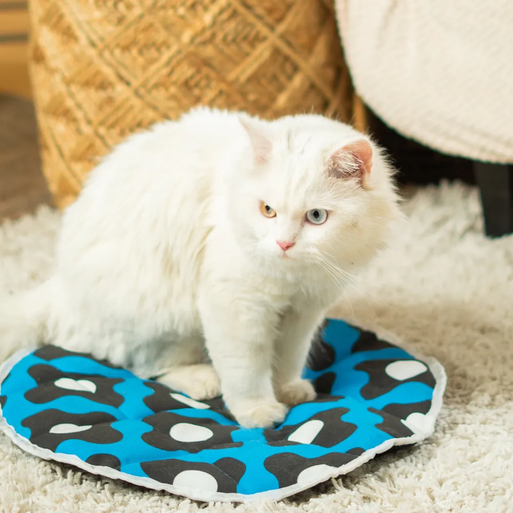 Pet Set Go Blue Bliss Mat for Cats (Navy Blue)