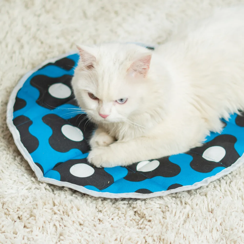 Pet Set Go Blue Bliss Mat for Cats (Navy Blue)