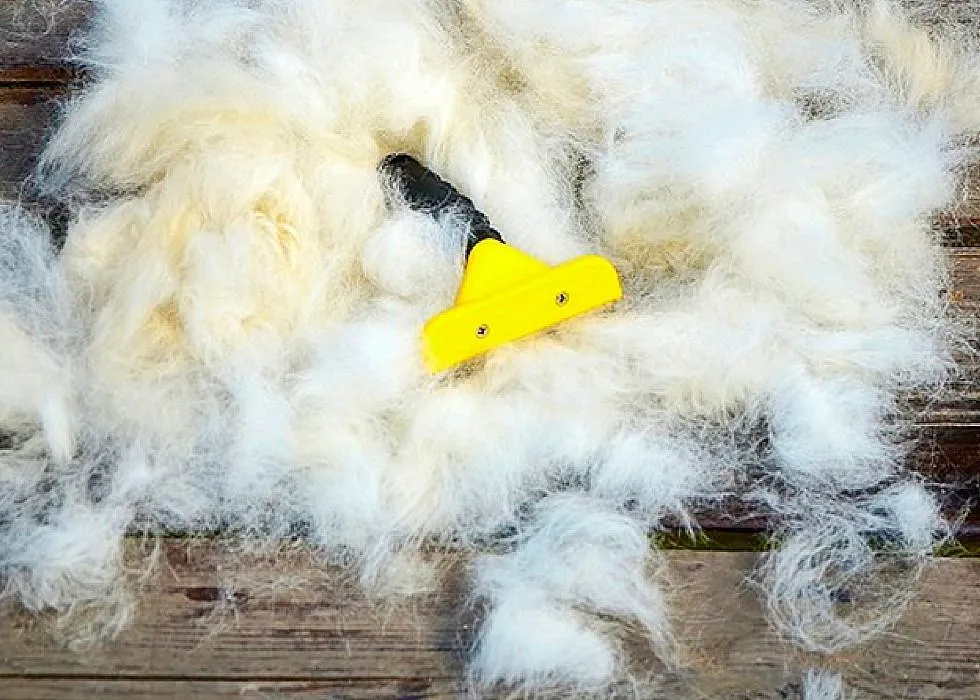 Pets Deshedding Tool