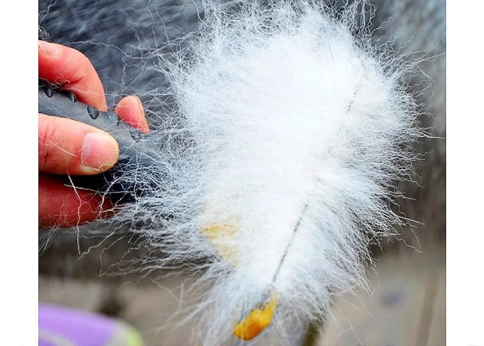 Pets Deshedding Tool