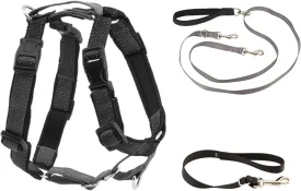 PetSafe 3 in 1 Harness with Two Point Control Leash, No-Pull Harness, Medium, Black, Adjustable