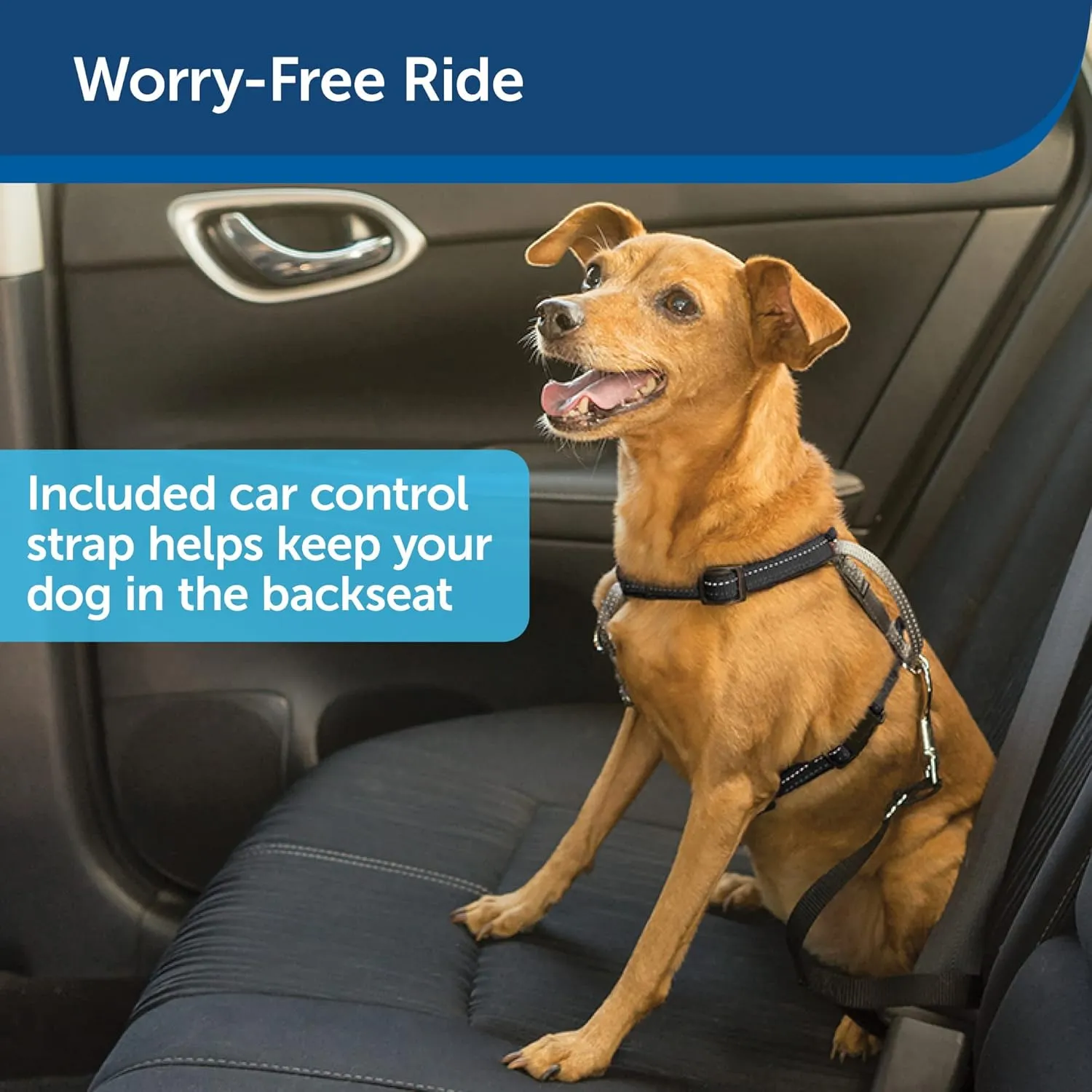 PetSafe 3 in 1 Harness with Two Point Control Leash - No-Pull Harness - Small - Black - Adjustable