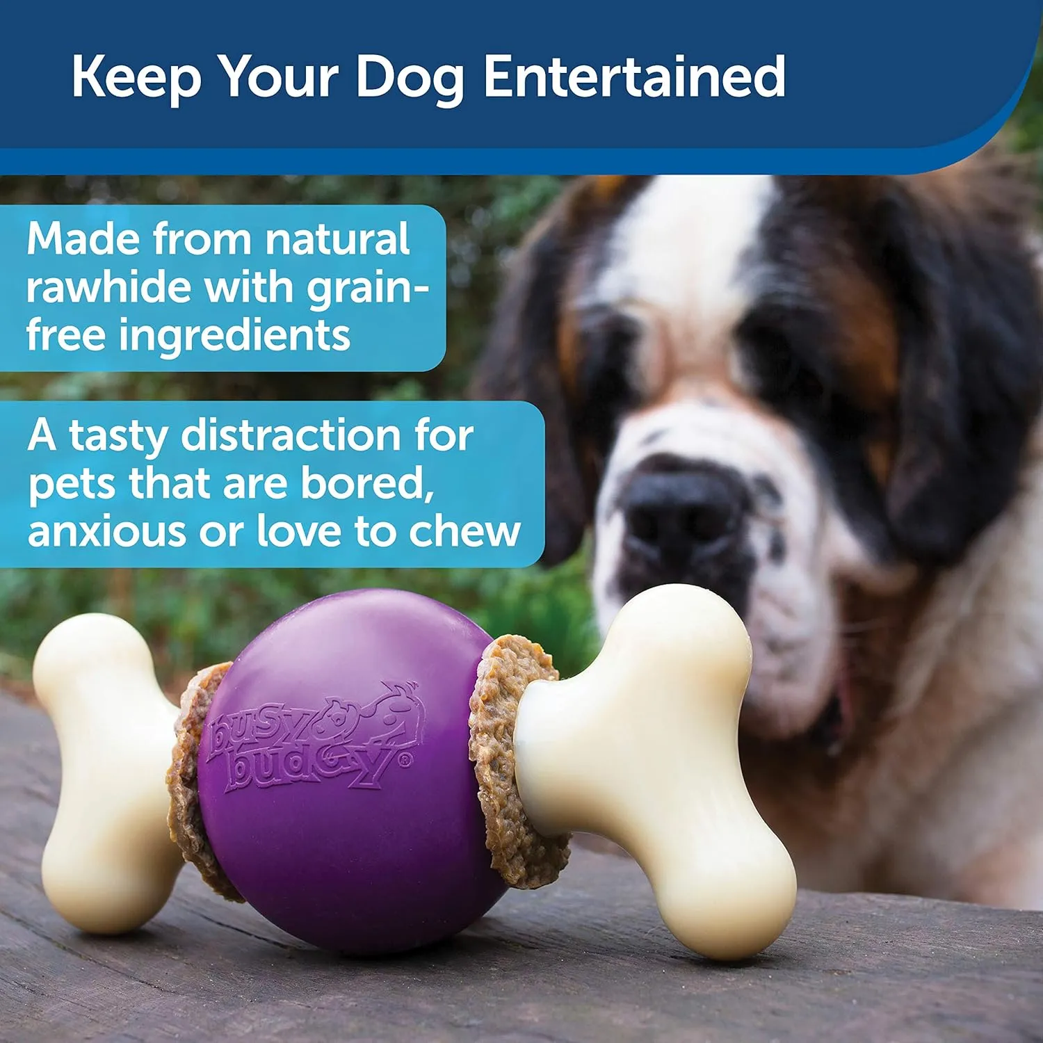 PetSafe Busy Buddy Bouncy Bone, Treat Holding Dog Toy, Medium, Best for Dogs 10-50 Lb.
