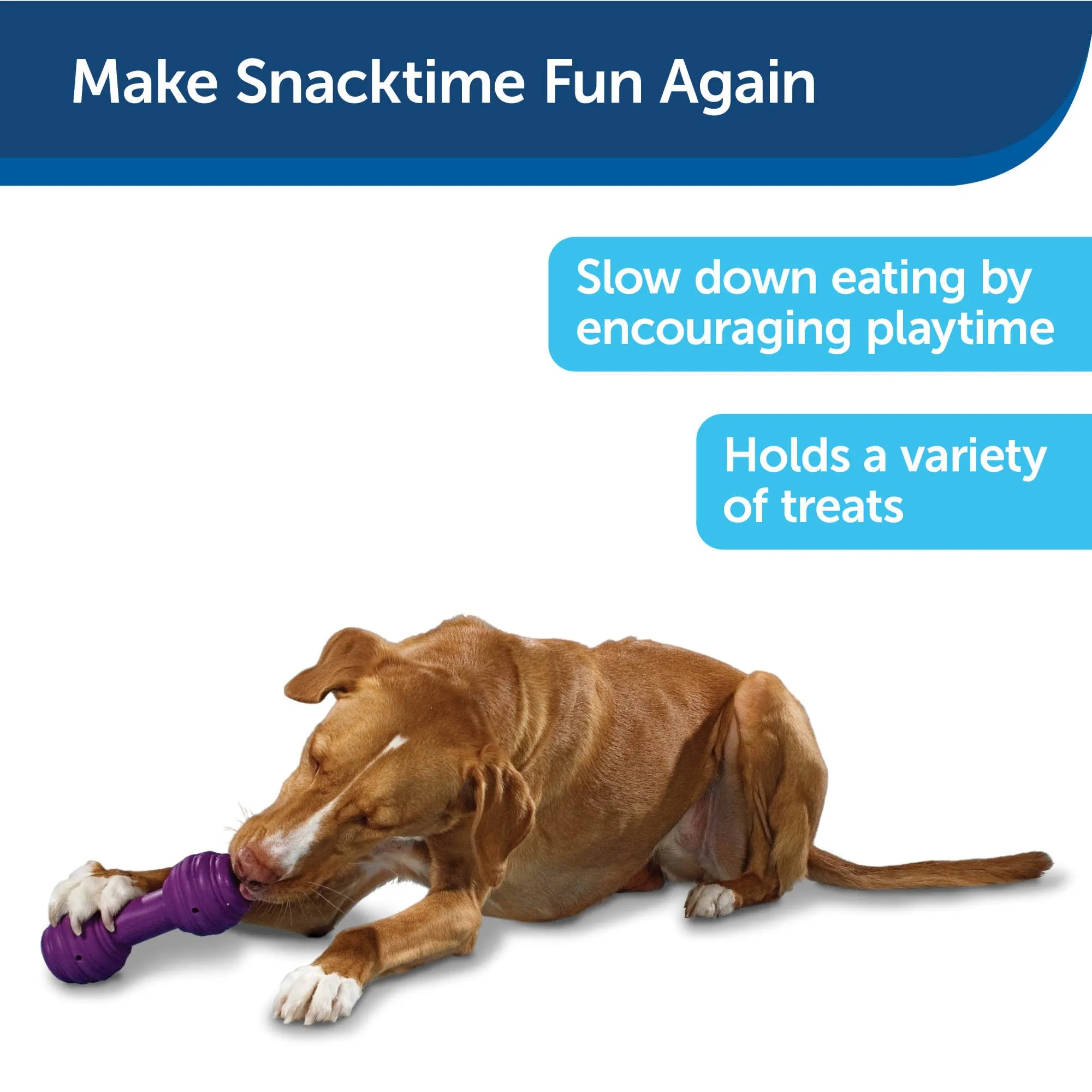 PetSafe Busy Buddy Chuckle Dog Toy