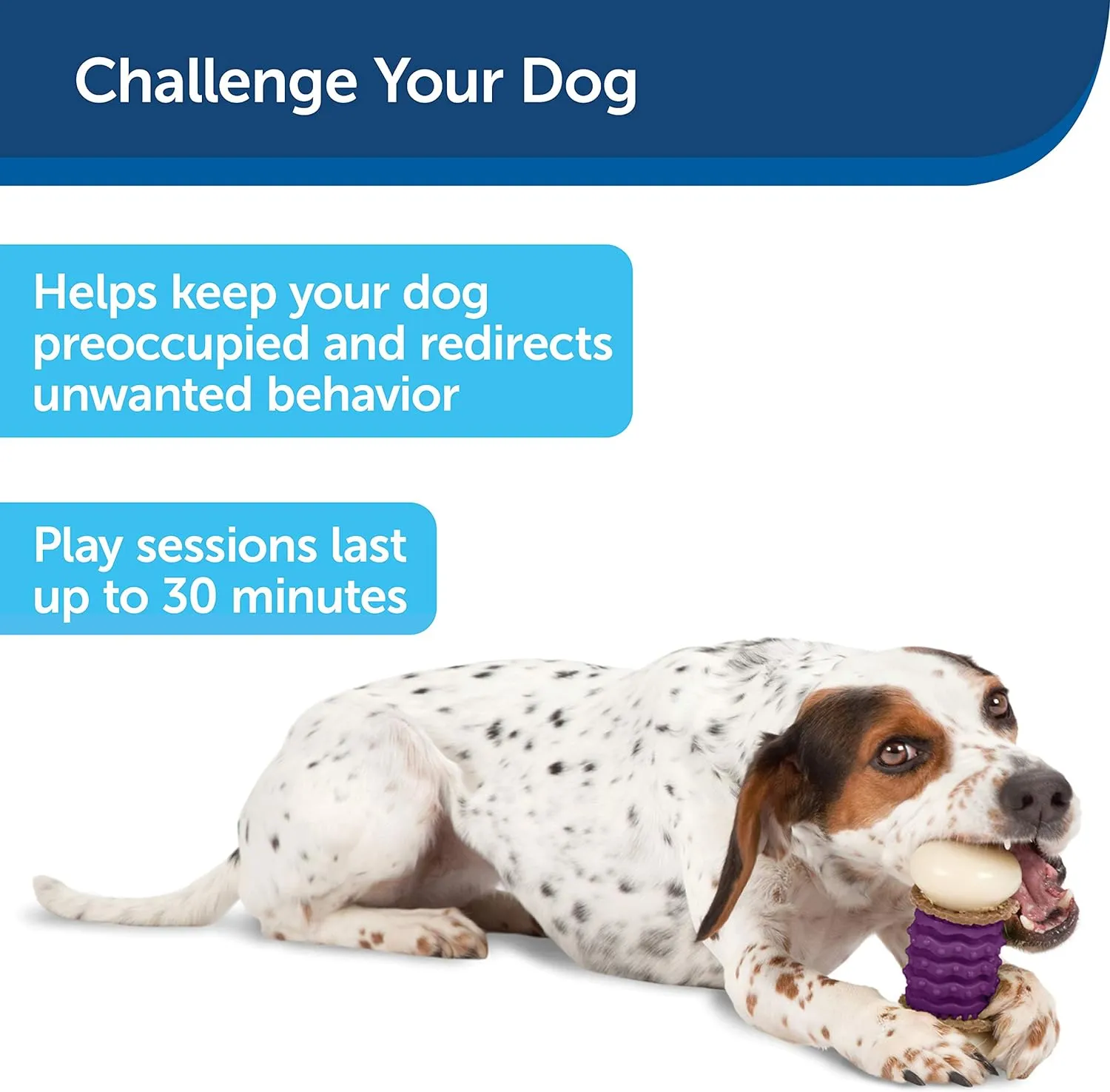 PetSafe Busy Buddy Nobbly Nubbly Treat Holding Dog Toy  Strong Chewers  Challenging - Treat Rings Included - Medium