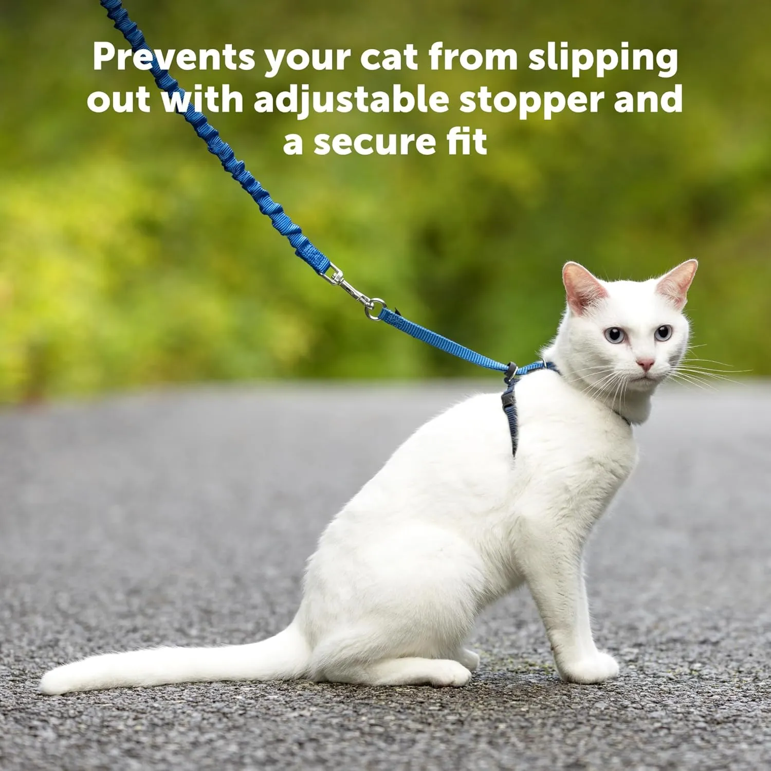 PetSafe Come with Me Kitty Harness and Bungee Leash, Medium, Black