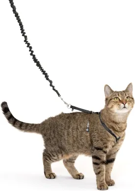 PetSafe Come with Me Kitty Harness and Bungee Leash, Medium, Black