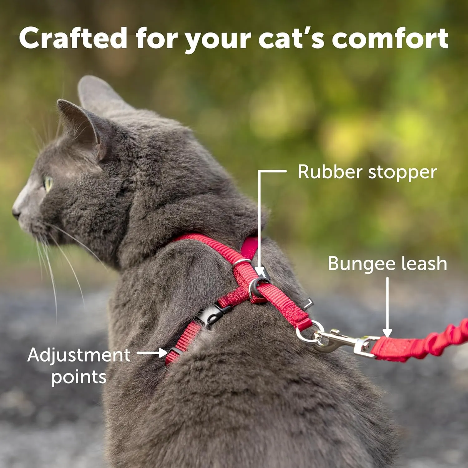 PetSafe Come with Me Kitty Harness and Bungee Leash, Medium, Black