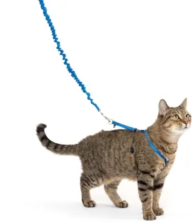 PetSafe Come with Me Kitty Harness and Bungee Leash, Medium, Royal Blue