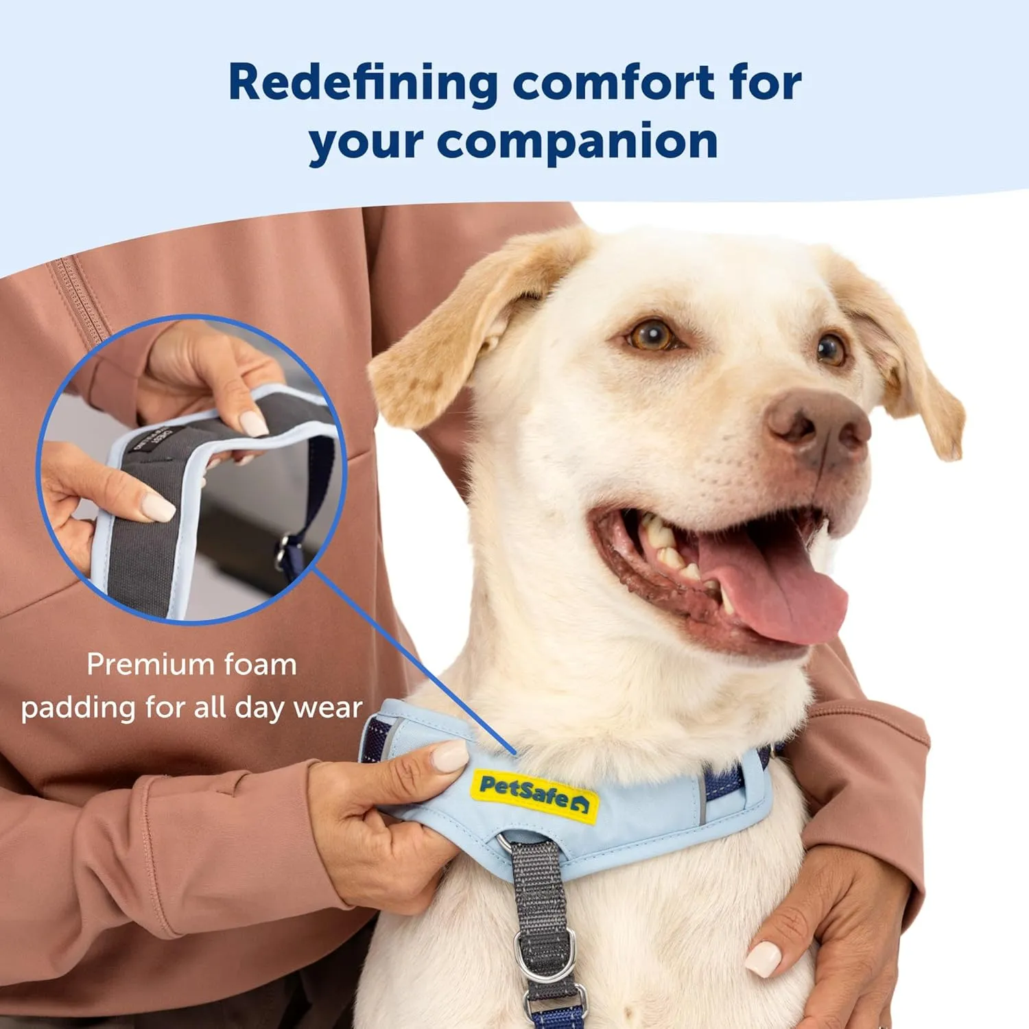 PetSafe Easy Walk Comfort No-Pull Dog Harness Full-Body Padding - Better Walks on The First Use - 5 Points of Adjustment Small/Medium, Blue