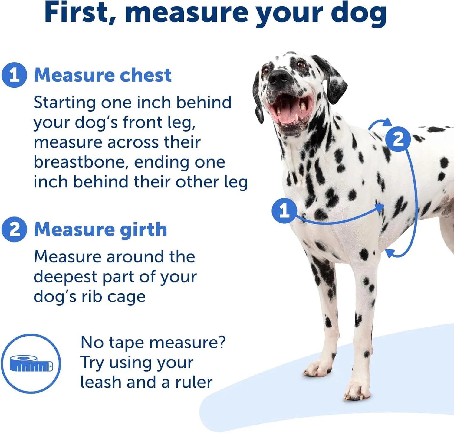 PetSafe Easy Walk No-Pull Dog Harness - The Ultimate Harness to Help Stop Pulling - Take Control & Teach Better Leash Manners - Helps Prevent Pets Pulling on Walks, Petite, Black/Silver