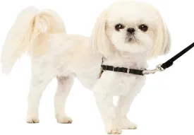 PetSafe Easy Walk No-Pull Dog Harness - The Ultimate Harness to Help Stop Pulling - Take Control & Teach Better Leash Manners - Helps Prevent Pets Pulling on Walks, Petite, Black/Silver