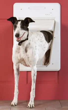 PetSafe Electronic Smart Door