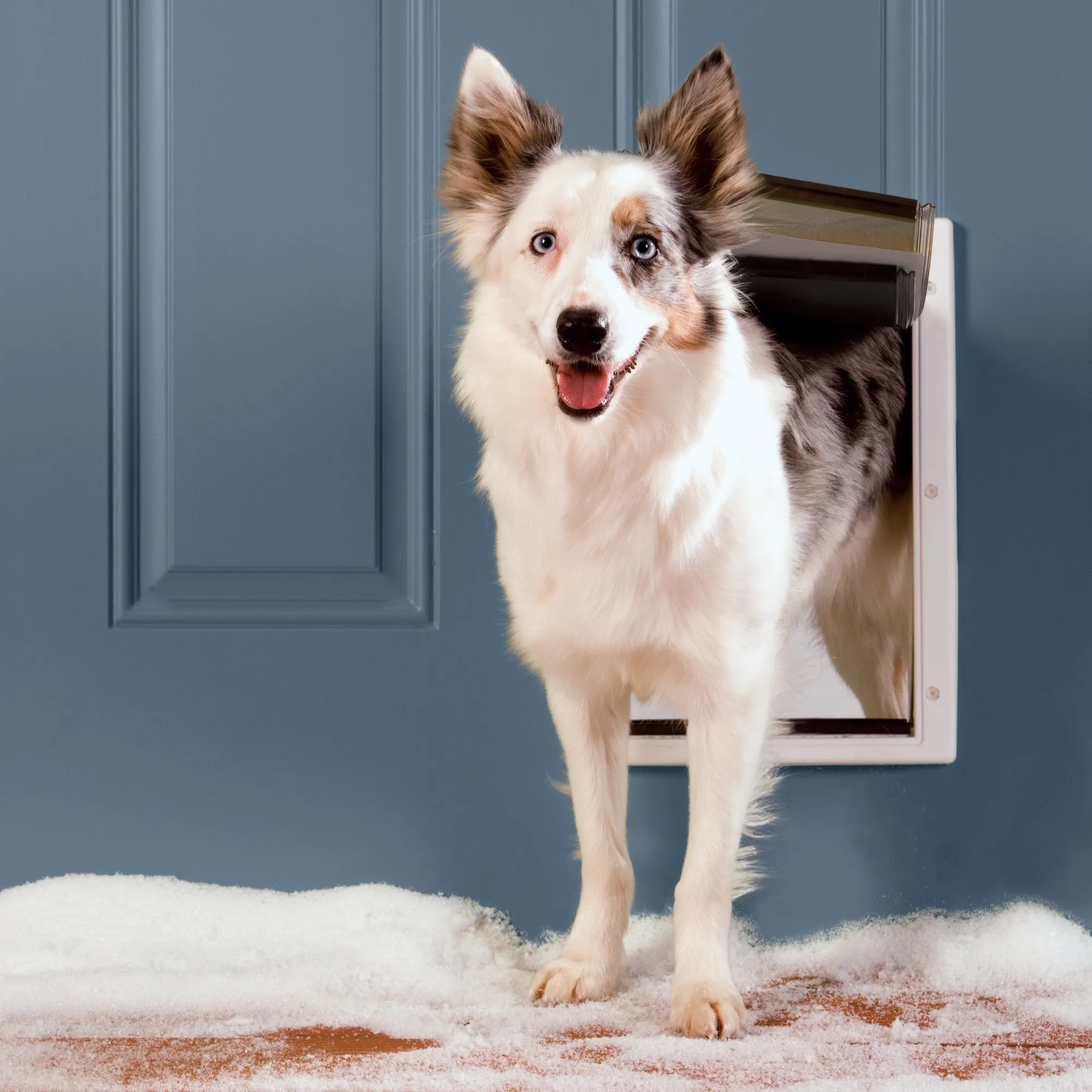 PetSafe® Extreme Weather Pet Door™, Medium