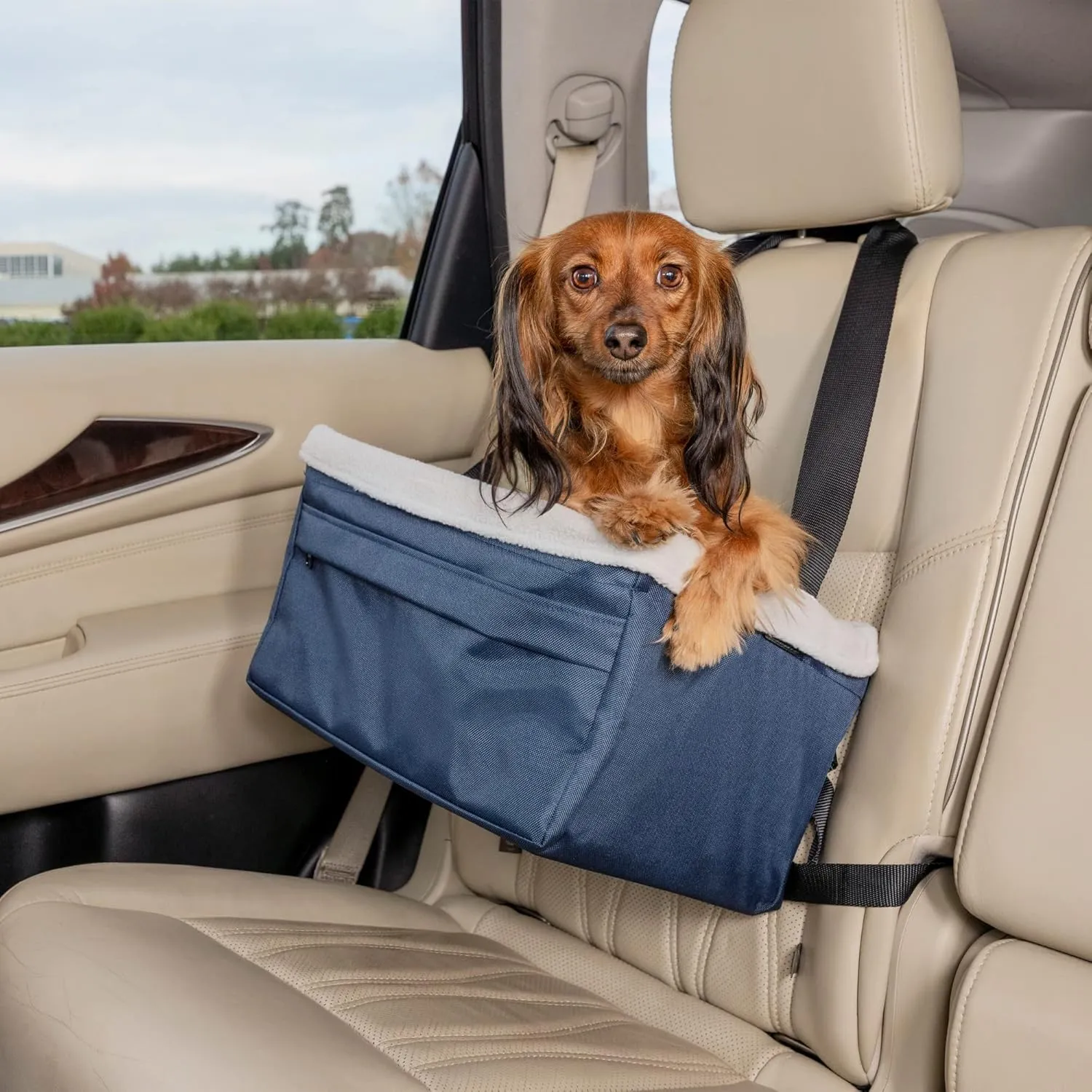 PetSafe Happy Ride Booster Seat  Raised Dog Travel Seat  Installs on Car Seats with a Headrest  Safety Tether  Machine Washable  Folds Flat for Storage, Navy, 12 lb