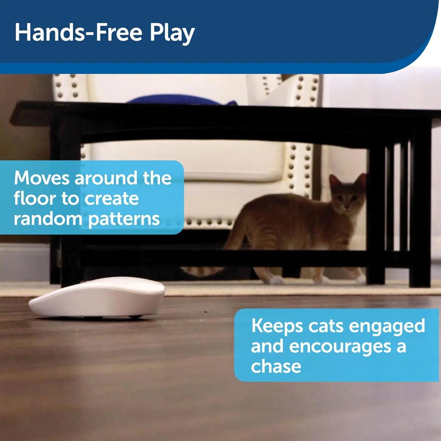 PetSafe Laser Tail Cat Toy  Fun and Safe Laser Light Game for Cats  Hands Free Play,White