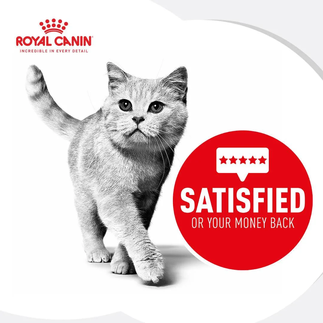 Royal Canin Ageing 12  Senior In Jelly Wet Cat Food 85G