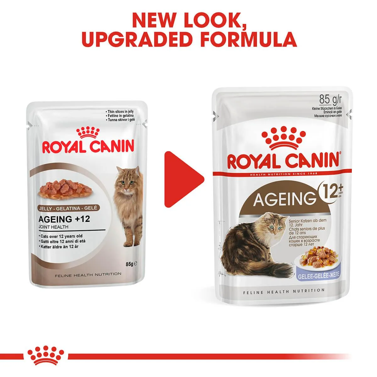 Royal Canin Ageing 12  Senior In Jelly Wet Cat Food 85G