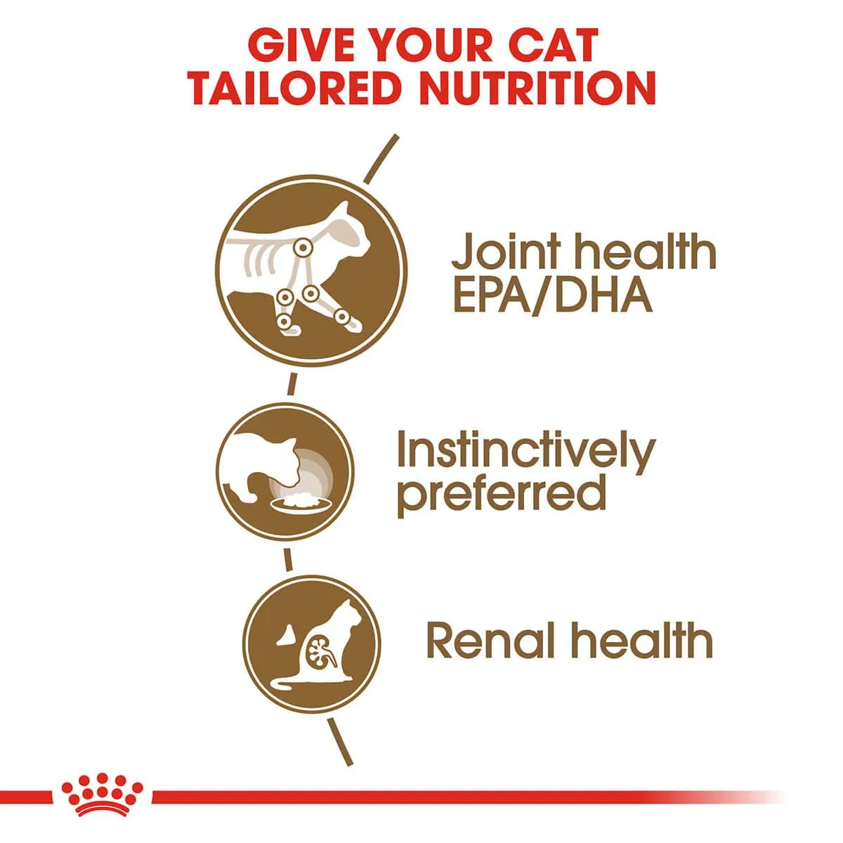 Royal Canin Ageing 12  Senior In Jelly Wet Cat Food 85G