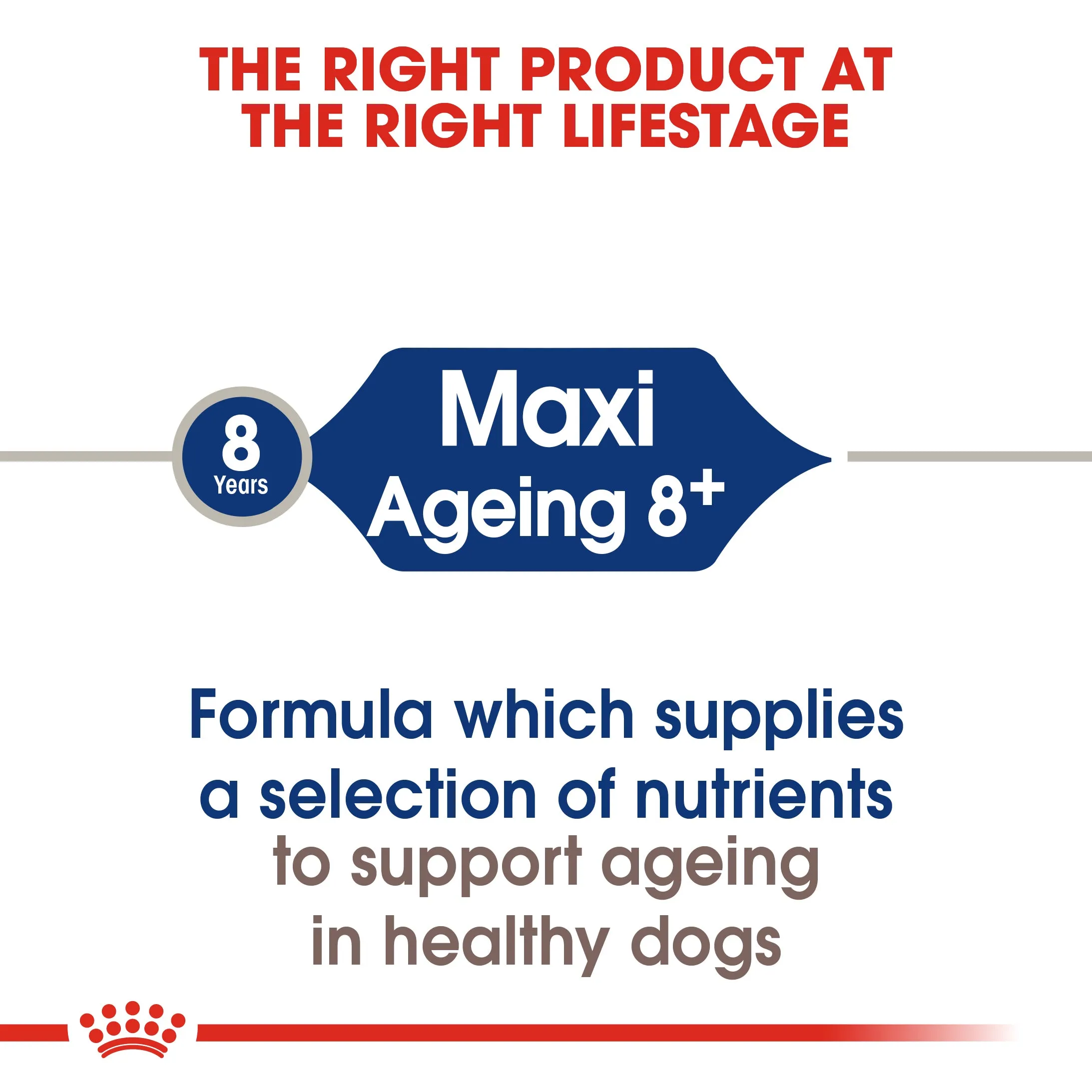Royal Canin Maxi Ageing 8  Senior Dry Dog Food 15kg