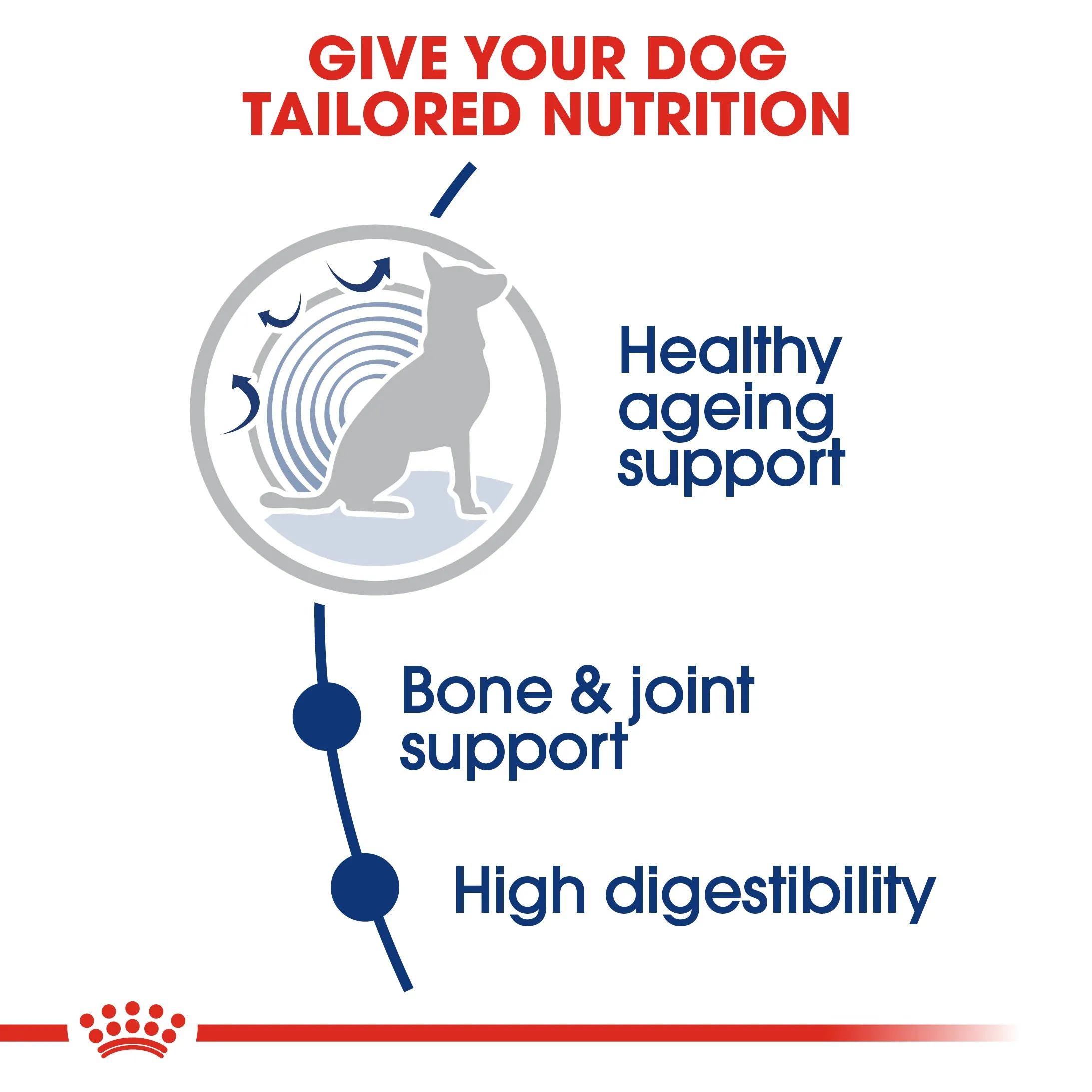 Royal Canin Maxi Ageing 8  Senior Dry Dog Food 15kg