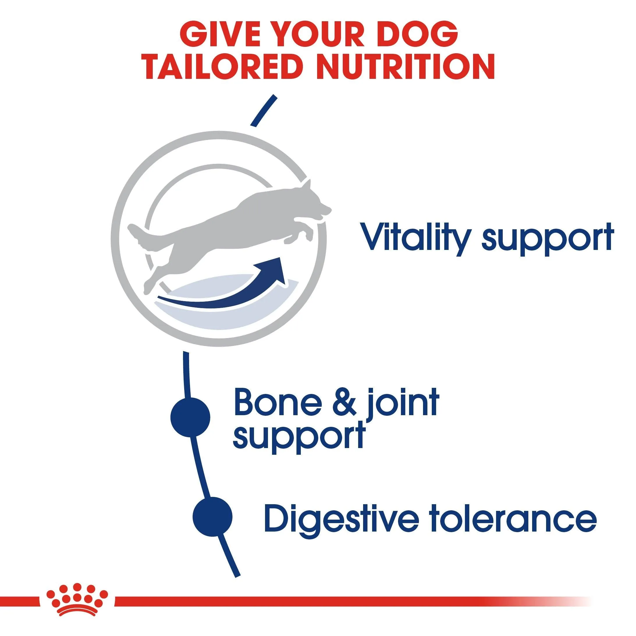 Royal Canin Maxi Large Breed Adult 5  Chicken Dry Dog Food 15kg