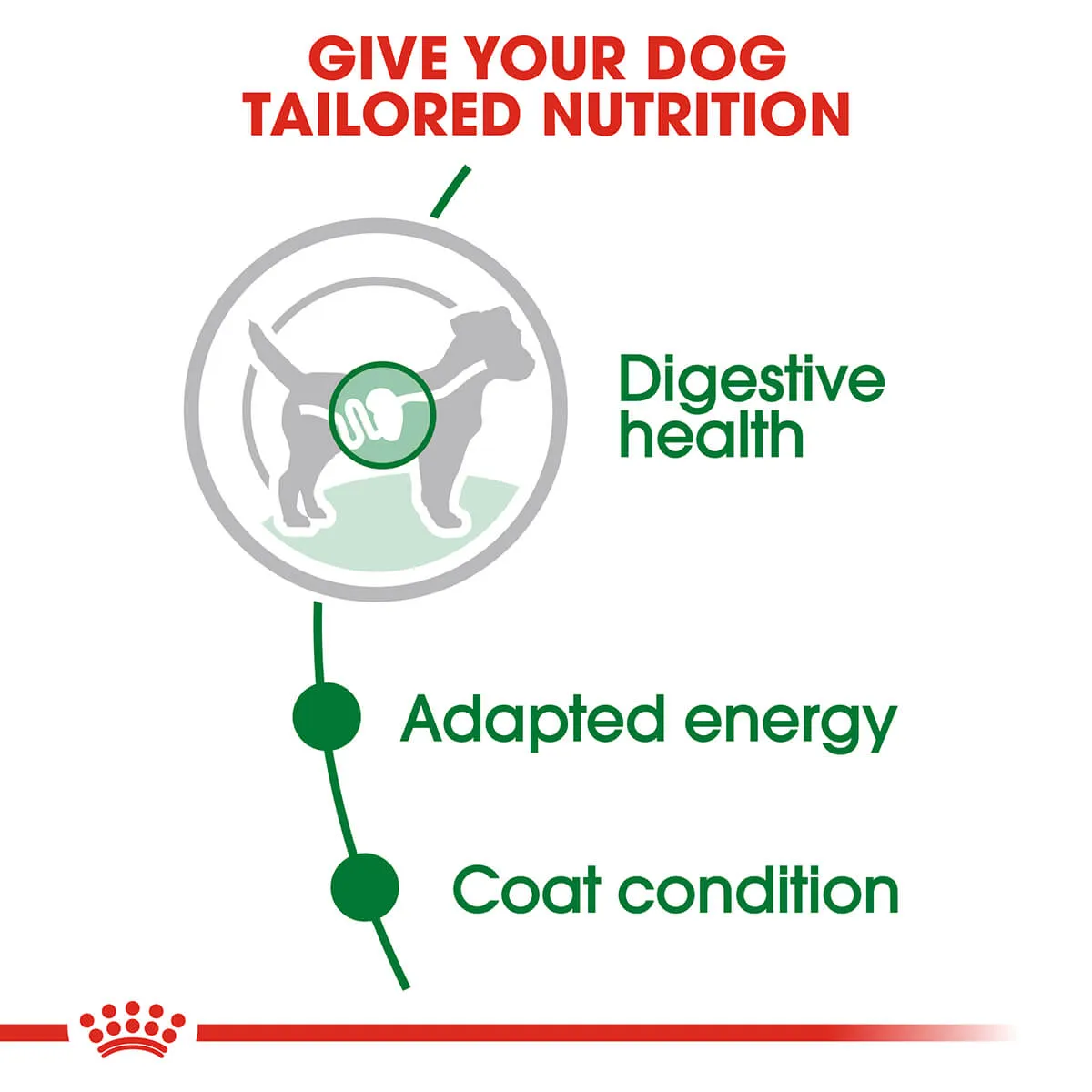 Royal Canin Mini Adult Wet Dog Food 85G