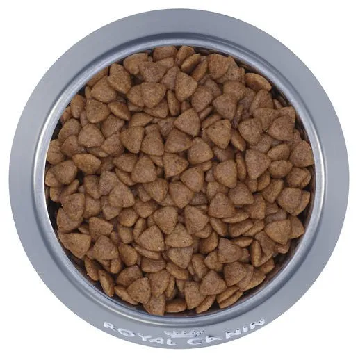 Royal Canin Mini Dog Food Puppy