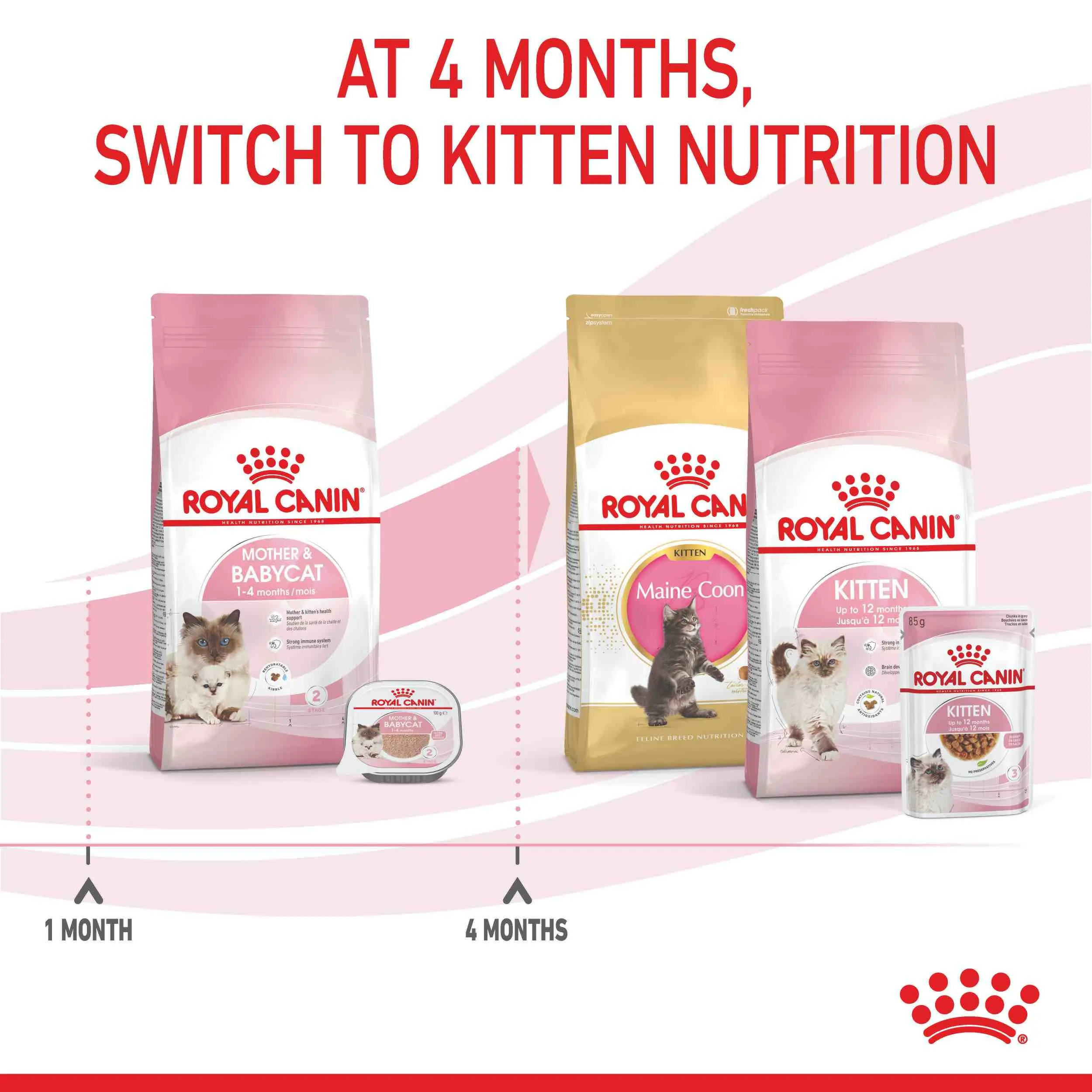 Royal Canin Mother And Baby Cat Kitten Dry Cat Food